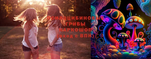 ECSTASY Покров