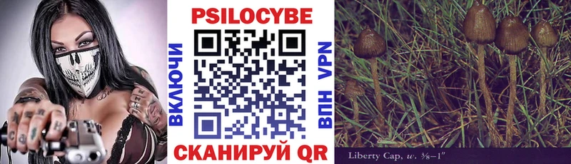 наркошоп Россошь Псилоцибиновые грибы Cubensis